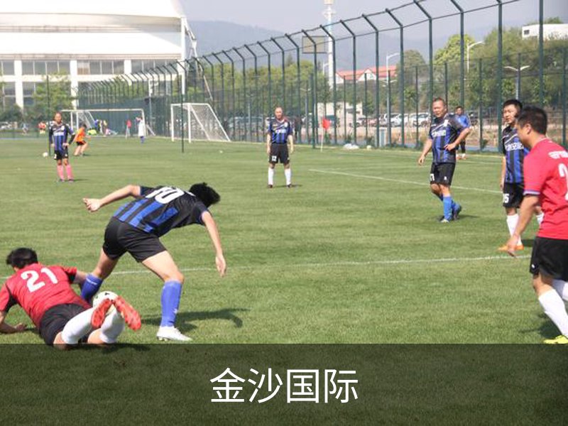 金沙国际简介